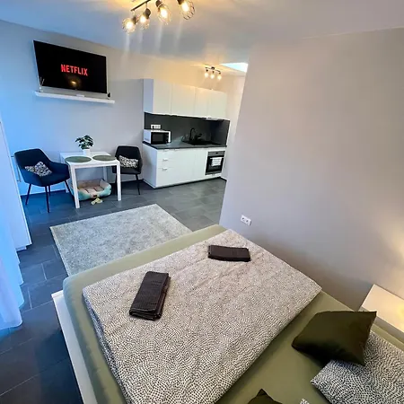 Apartment Kocsag *