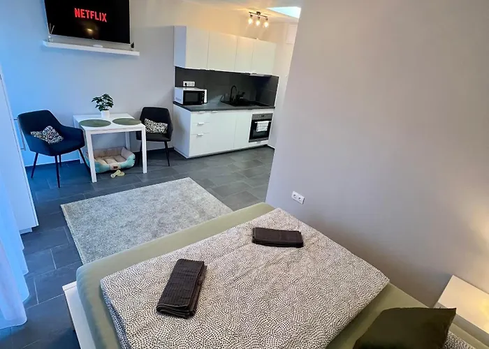 Apartament Kocsag