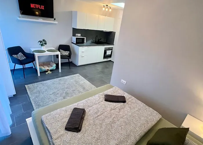 Apartament Kocsag *